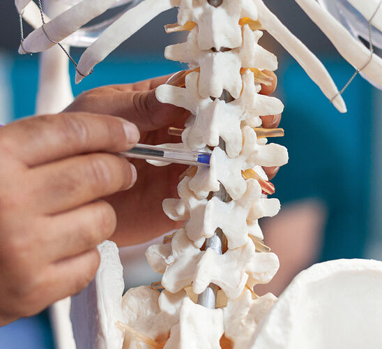 BM-Spinal-Cord-Pic-1